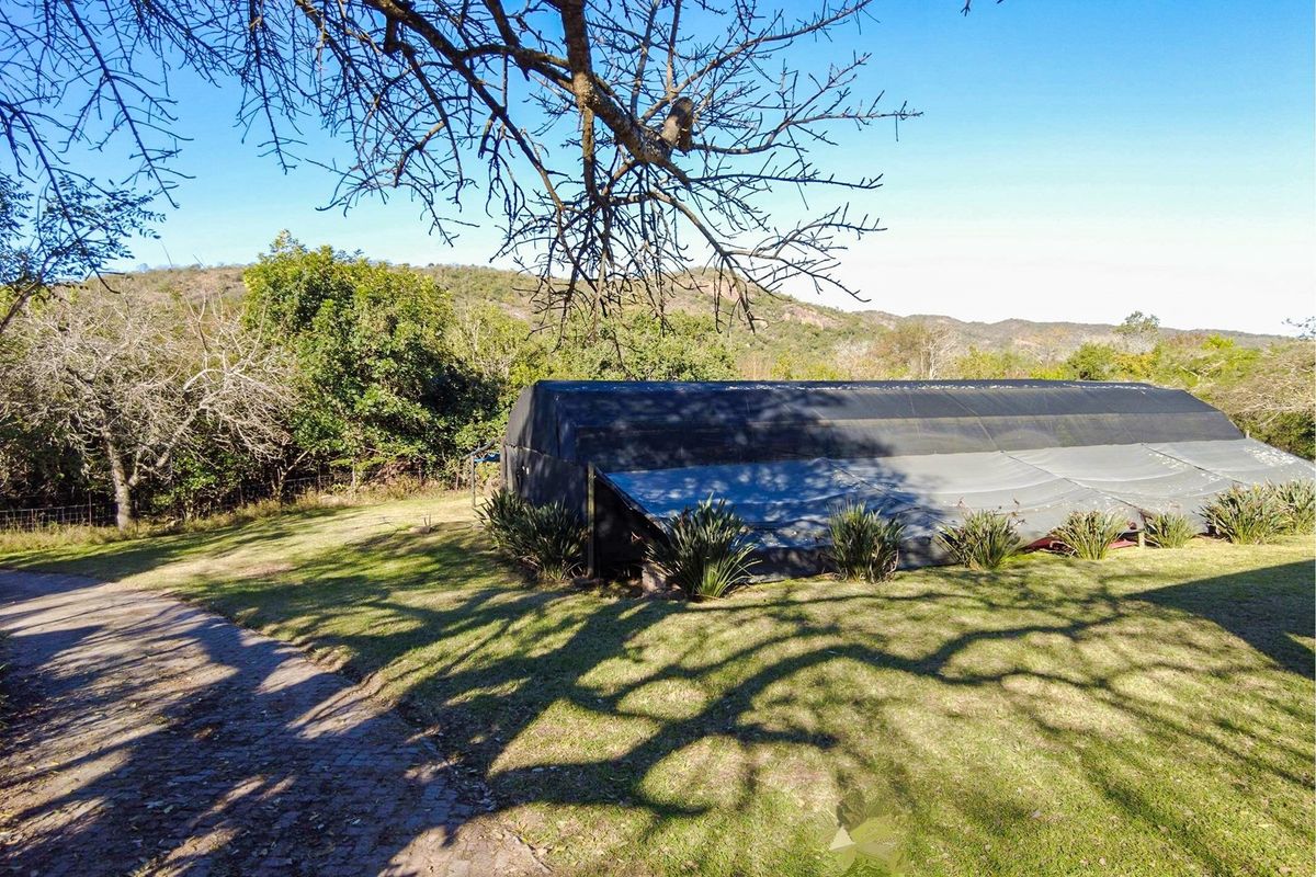 "Tranquil Countryside Farm with Modern Comforts" - Photo 4