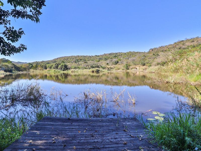 "Tranquil Countryside Farm with Modern Comforts" - Photo 5