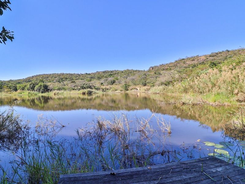 "Tranquil Countryside Farm with Modern Comforts" - Photo 6