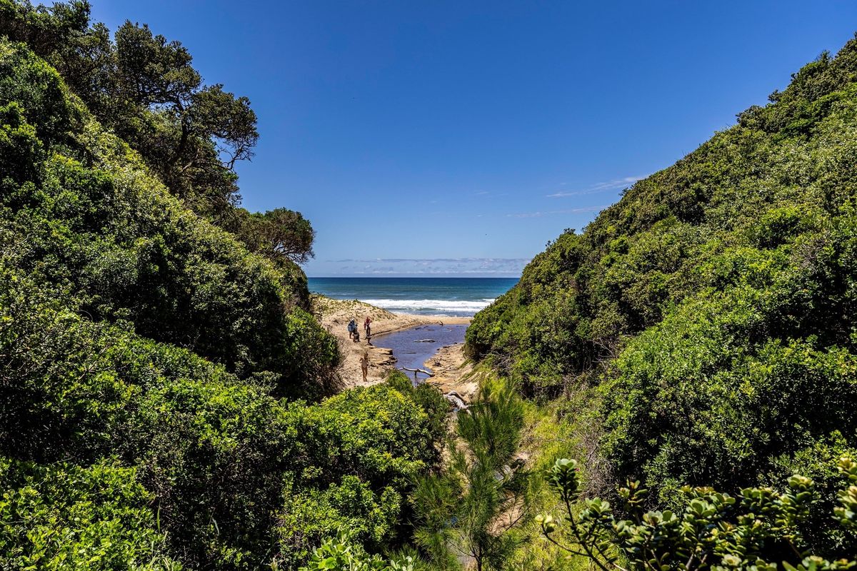 Discover the Ultimate Coastal Living at Cypraea Sands Estate - Come Build Your Dream Home!! - Photo 4