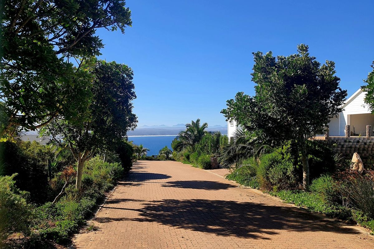 A paved driveway leading towards a scenic coastal view, framed by established trees and landscaped garden beds.
