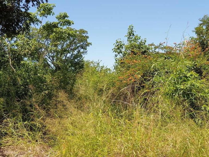 58.1 Ha Farm for sale in Tzaneen - Photo 3