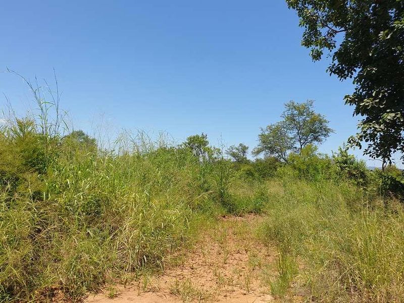 58.1 Ha Farm for sale in Tzaneen - Photo 7