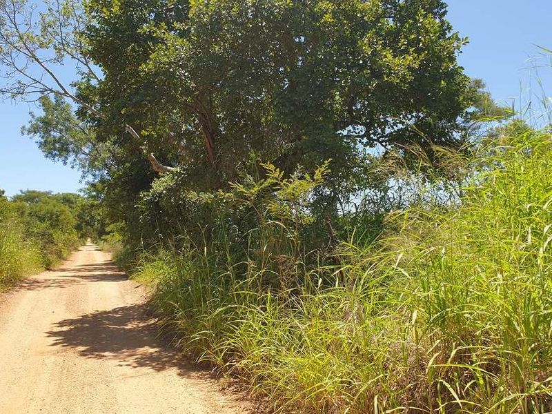 58.1 Ha Farm for sale in Tzaneen - Photo 2