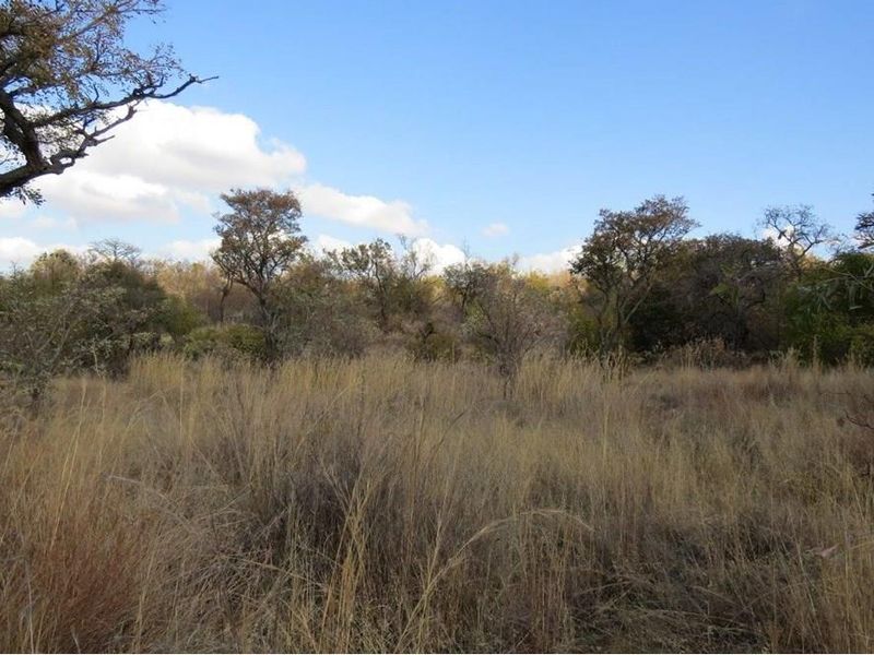 Zwartkloof Game Reserve - Bela-Bela - North facing stand with mountain views and indigenous trees. - Photo 4
