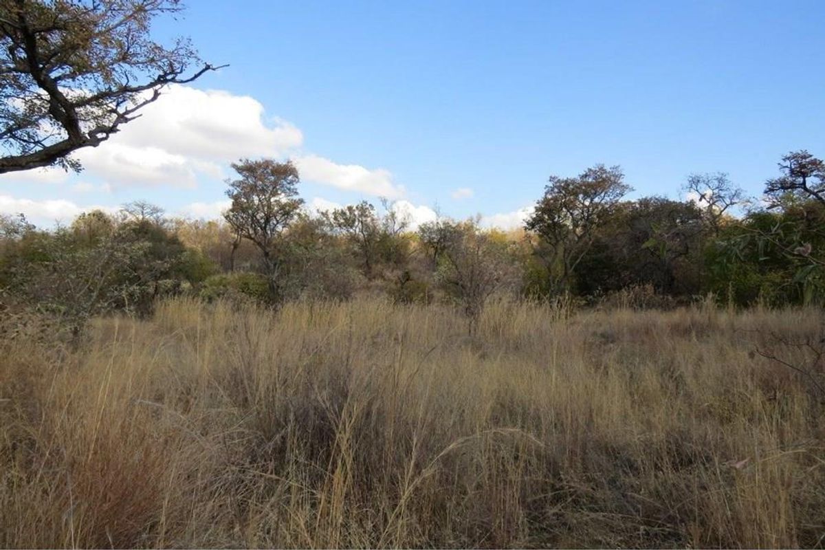 Zwartkloof Game Reserve - Bela-Bela - North facing stand with mountain views and indigenous trees. - Photo 4