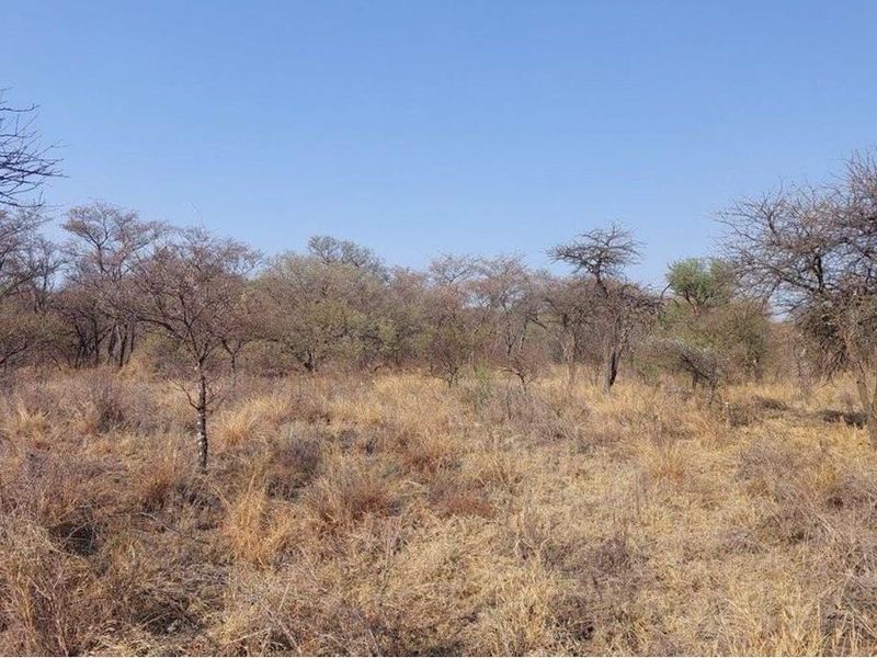 Vacant land with endless possibilities - Photo 3