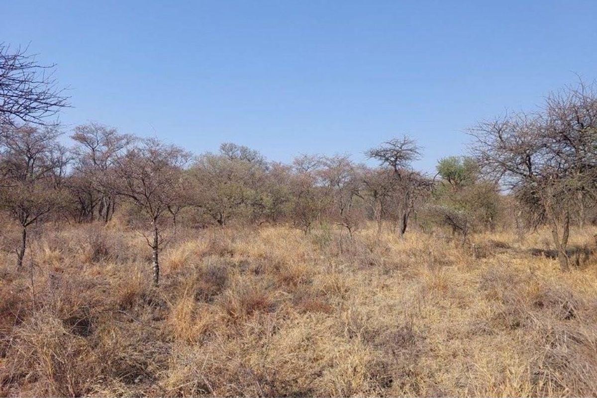 Vacant land with endless possibilities - Photo 3