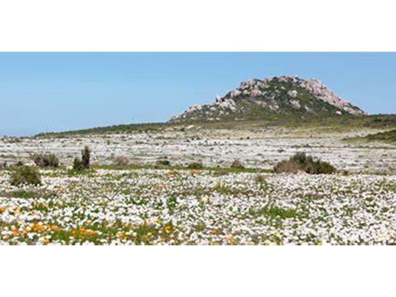 8 sub-divided plots of 600-800sqm in Hopefield - Photo 9