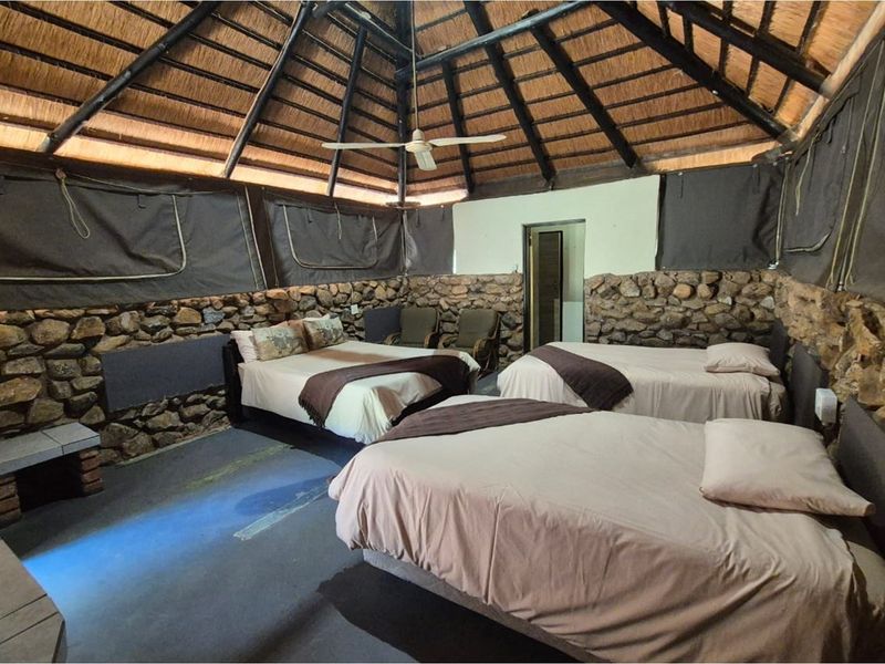 Luxurious Game Farm with Price Drop!" - Photo 7