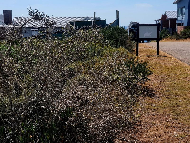 Seaside tranquility meets vibrant community in prime location - Photo 6