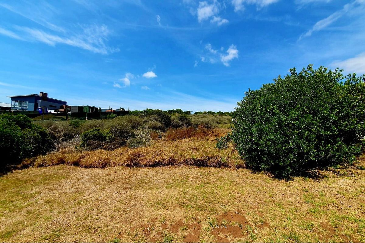 A view of the vacant residential land featuring natural vegetation, shrubs, and surrounding neighborhood context under a clear blue sky.