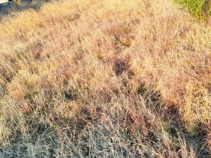 MEYERTON * DALESIDE * WITKOP * R370 000.00 * Vacant Land * 2552sqm - Photo 9