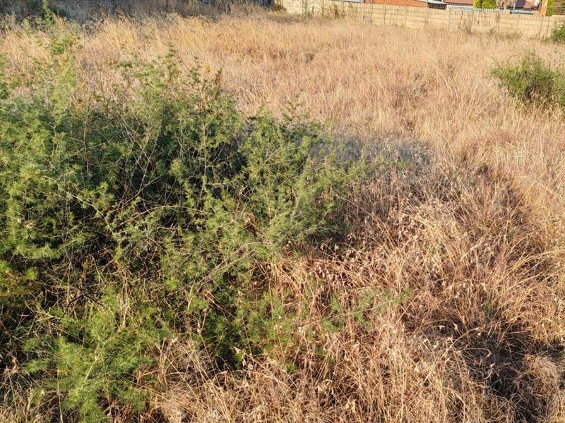 MEYERTON * DALESIDE * WITKOP * R370 000.00 * Vacant Land * 2552sqm - Photo 8