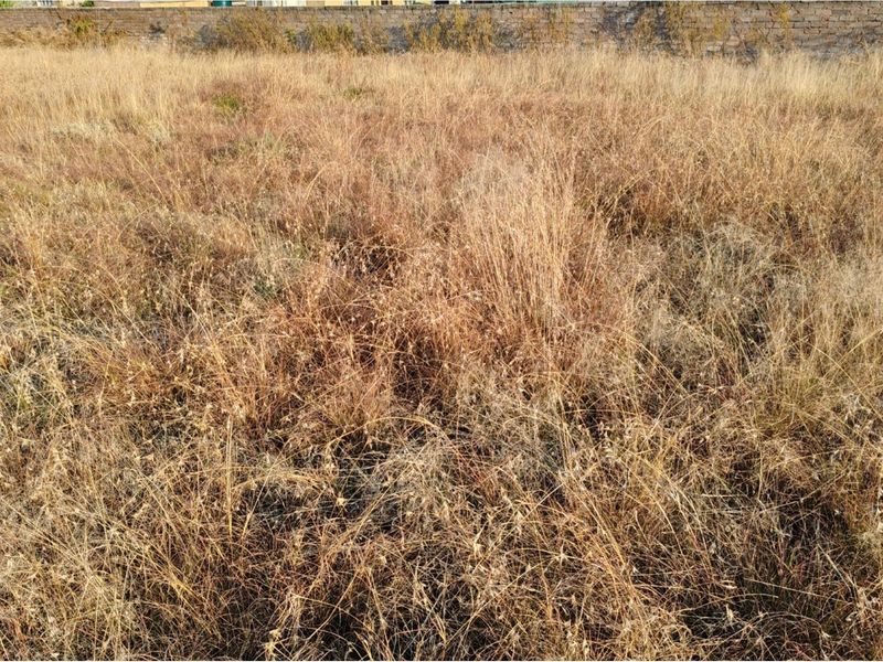 MEYERTON * DALESIDE * WITKOP * R370 000.00 * Vacant Land * 2552sqm - Photo 7