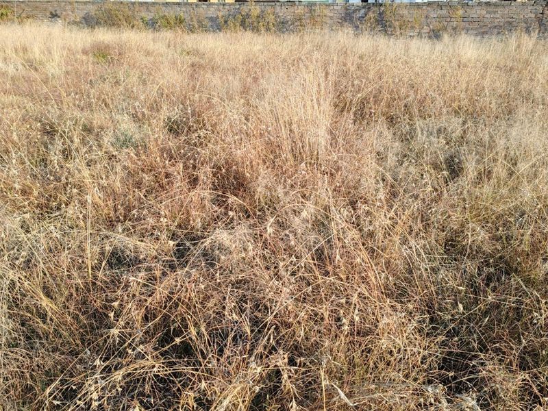 MEYERTON * DALESIDE * WITKOP * R370 000.00 * Vacant Land * 2552sqm - Photo 6