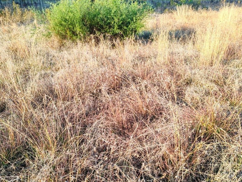 MEYERTON * DALESIDE * WITKOP * R370 000.00 * Vacant Land * 2552sqm - Photo 5