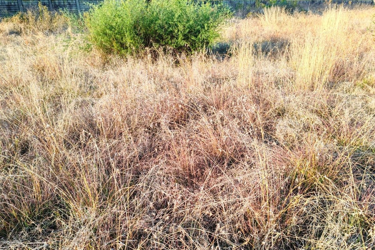 MEYERTON * DALESIDE * WITKOP * R370 000.00 * Vacant Land * 2552sqm - Photo 5