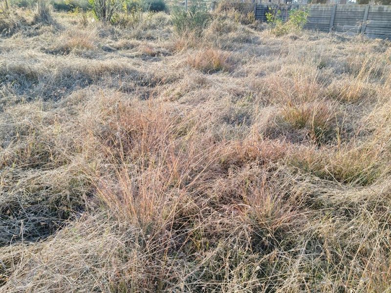 MEYERTON * DALESIDE * WITKOP * R370 000.00 * Vacant Land * 2552sqm - Photo 3