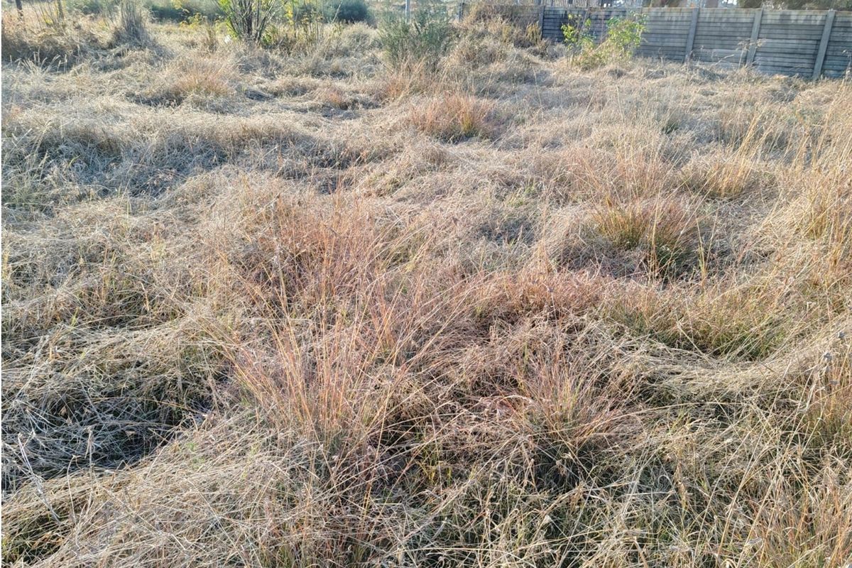 MEYERTON * DALESIDE * WITKOP * R370 000.00 * Vacant Land * 2552sqm - Photo 3