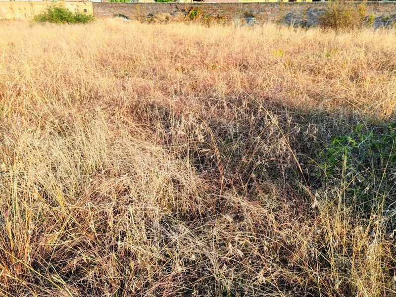 MEYERTON * DALESIDE * WITKOP * R370 000.00 * Vacant Land * 2552sqm - Photo 10