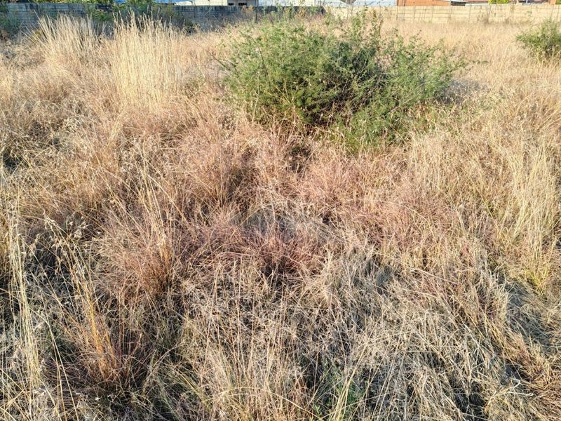 MEYERTON * DALESIDE * WITKOP * R370 000.00 * Vacant Land * 2552sqm - Photo 1