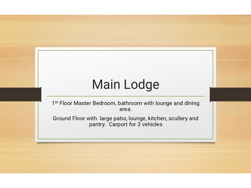 BIG 5 - Exclusive Whole owner private Safari Lodge in Mabula Private Game Reserve - Photo 3