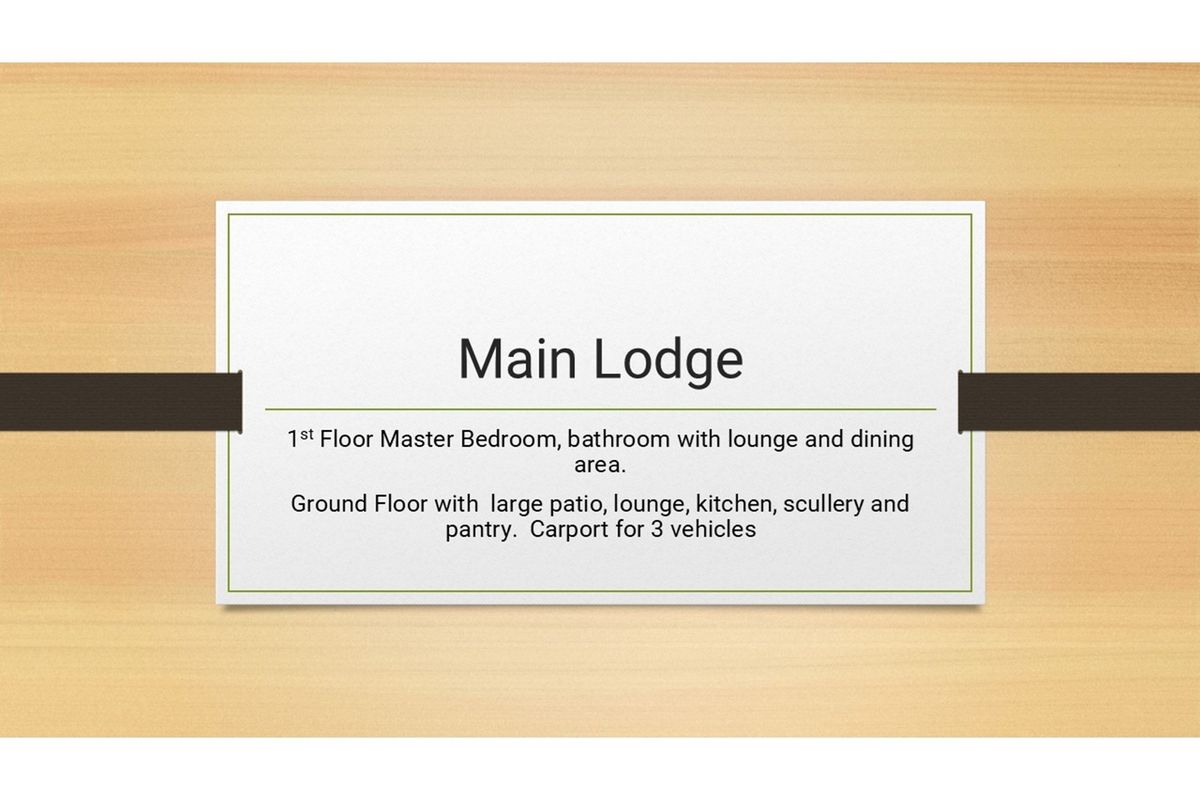 BIG 5 - Exclusive Whole owner private Safari Lodge in Mabula Private Game Reserve - Photo 3