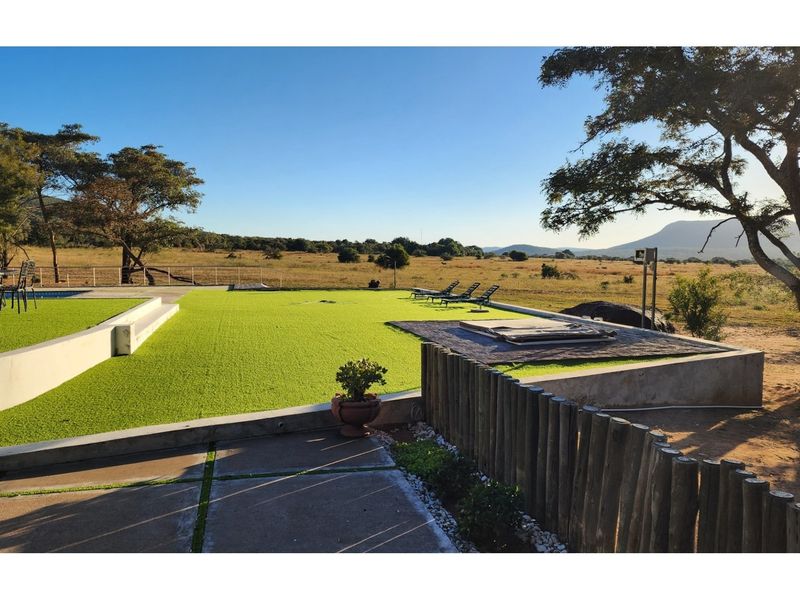 BIG 5 - Exclusive Whole owner private Safari Lodge in Mabula Private Game Reserve - Photo 4