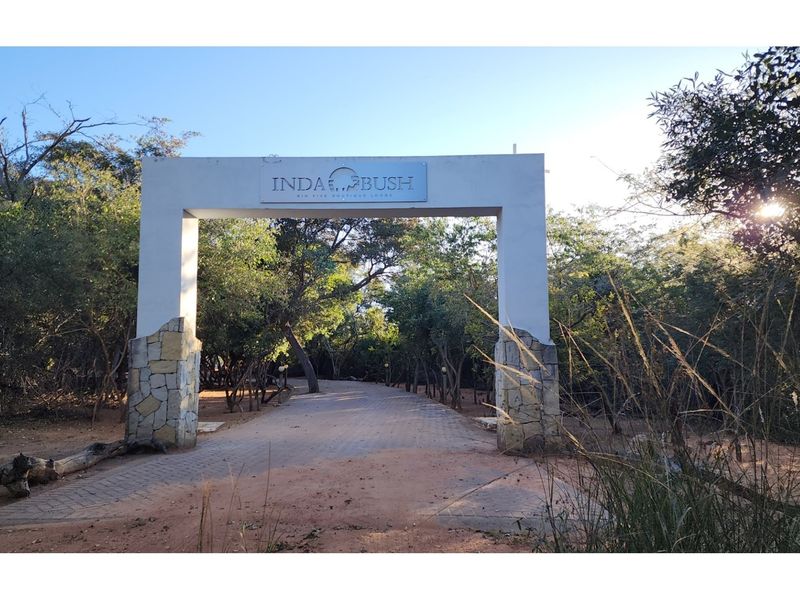 BIG 5 - Exclusive Whole owner private Safari Lodge in Mabula Private Game Reserve - Photo 2