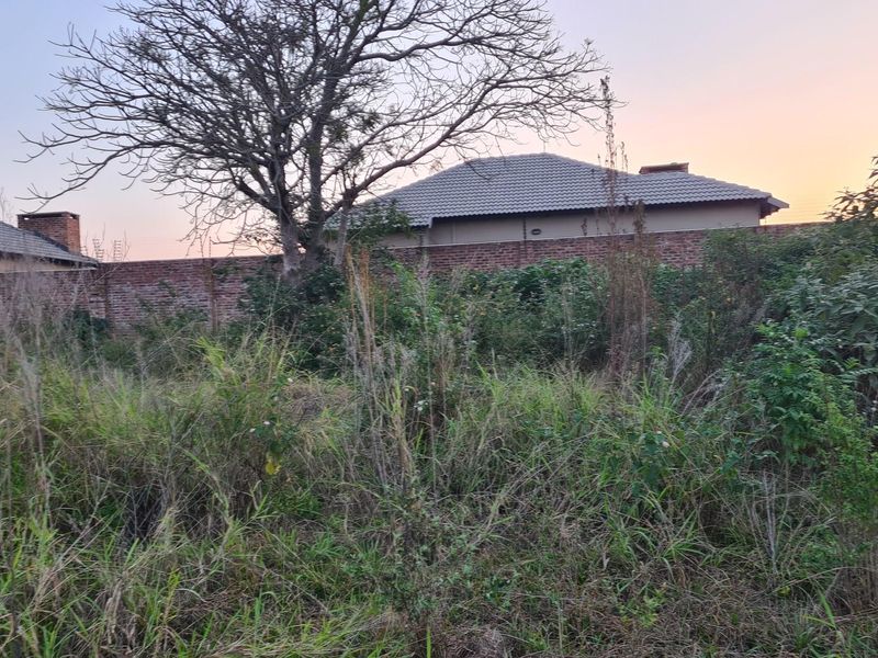 Unveil Your Vision: 2.1Ha  Prime Vacant Stand in Steiltes Awaits! - Photo 6