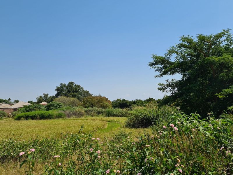 Unveil Your Vision: 2.1Ha  Prime Vacant Stand in Steiltes Awaits! - Photo 9