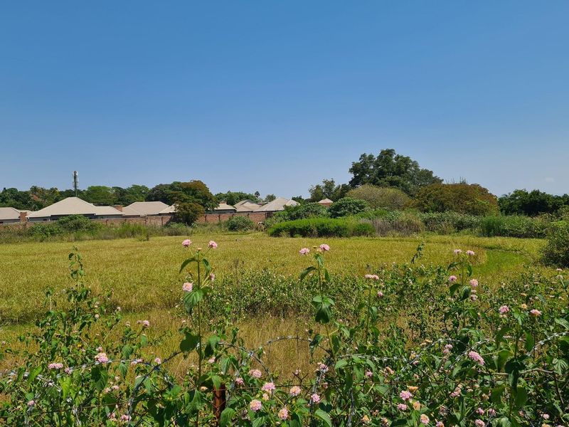 Unveil Your Vision: 2.1Ha  Prime Vacant Stand in Steiltes Awaits! - Photo 8