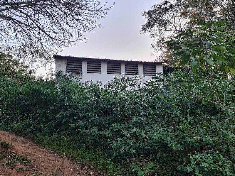 Unveil Your Vision: 2.1Ha  Prime Vacant Stand in Steiltes Awaits! - Photo 7