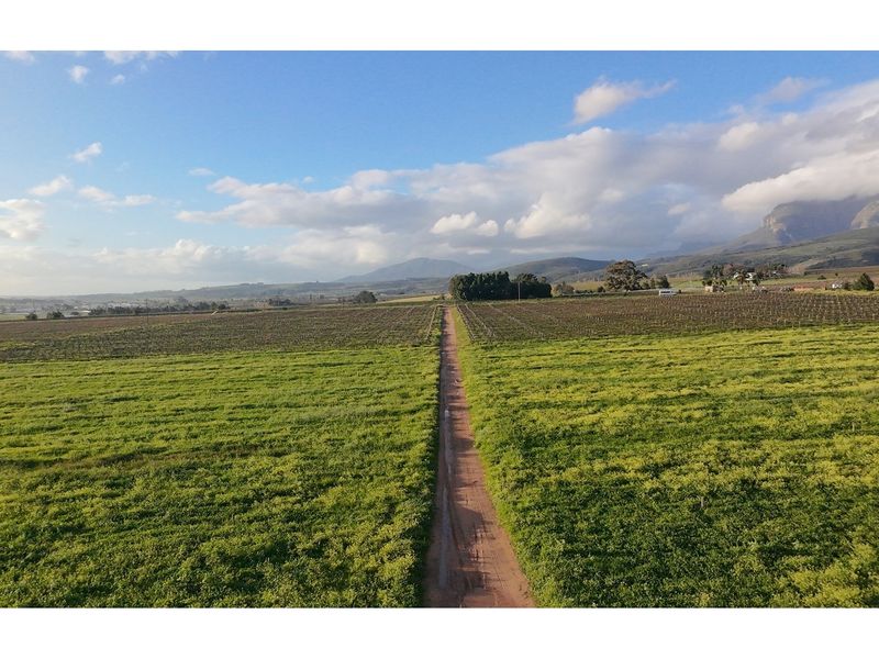 Prime Wine Lifestyle Farm for Sale - Paarl - Photo 3