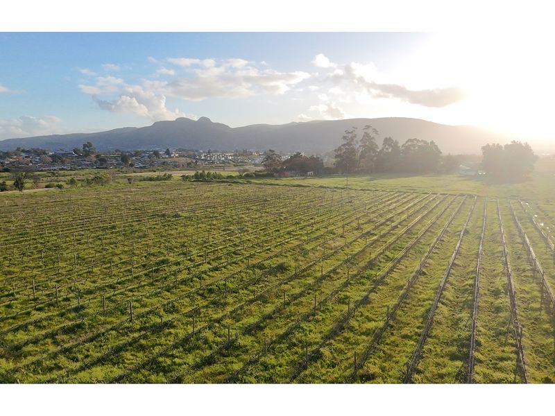 Prime Wine Lifestyle Farm for Sale - Paarl - Photo 4