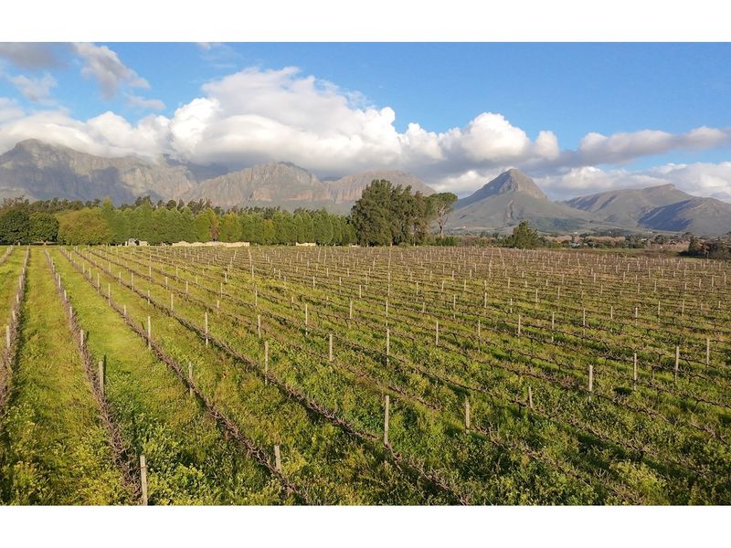 Prime Wine Lifestyle Farm for Sale - Paarl - Photo 2