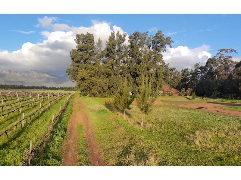 Prime Wine Lifestyle Farm for Sale - Paarl - Photo 10