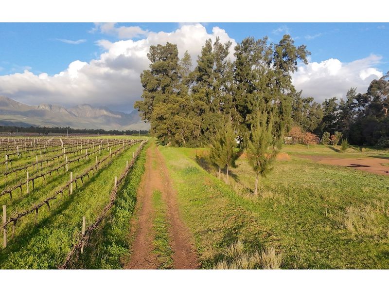 Prime Wine Lifestyle Farm for Sale - Paarl - Photo 8