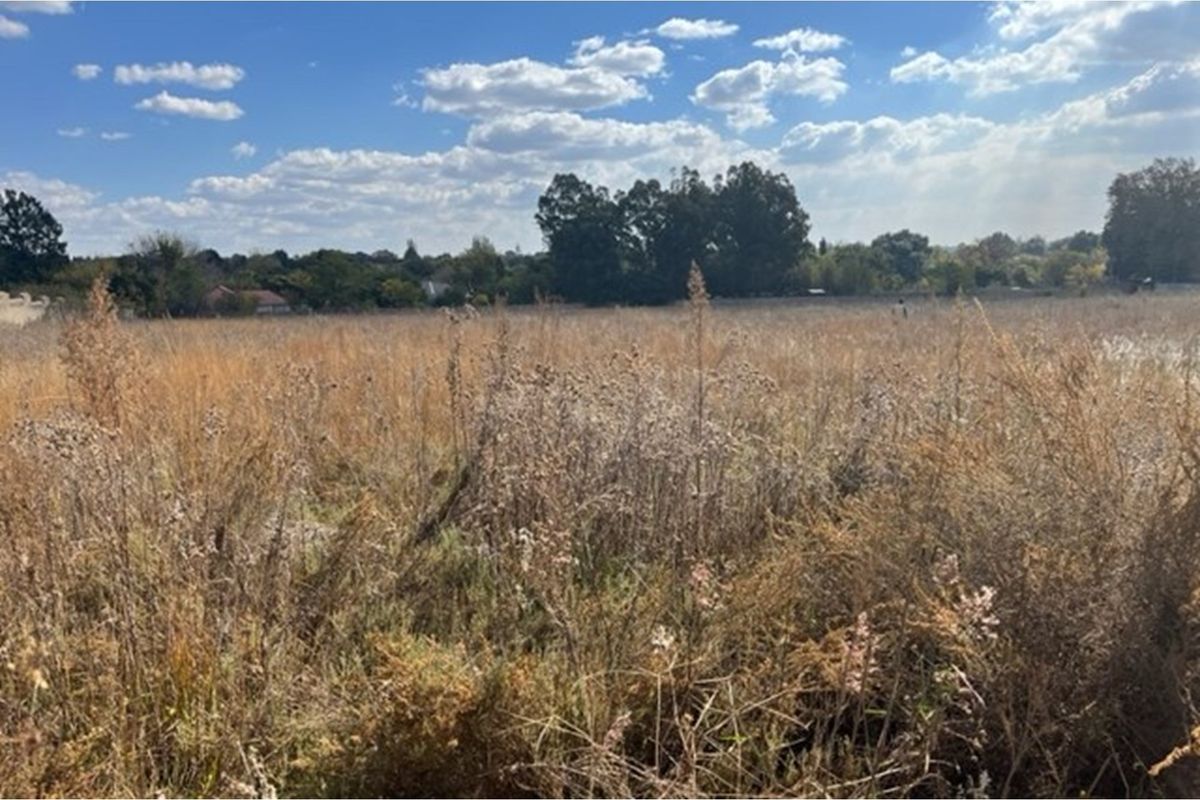 Large vacant stand measuring 4047m2 - Photo 4