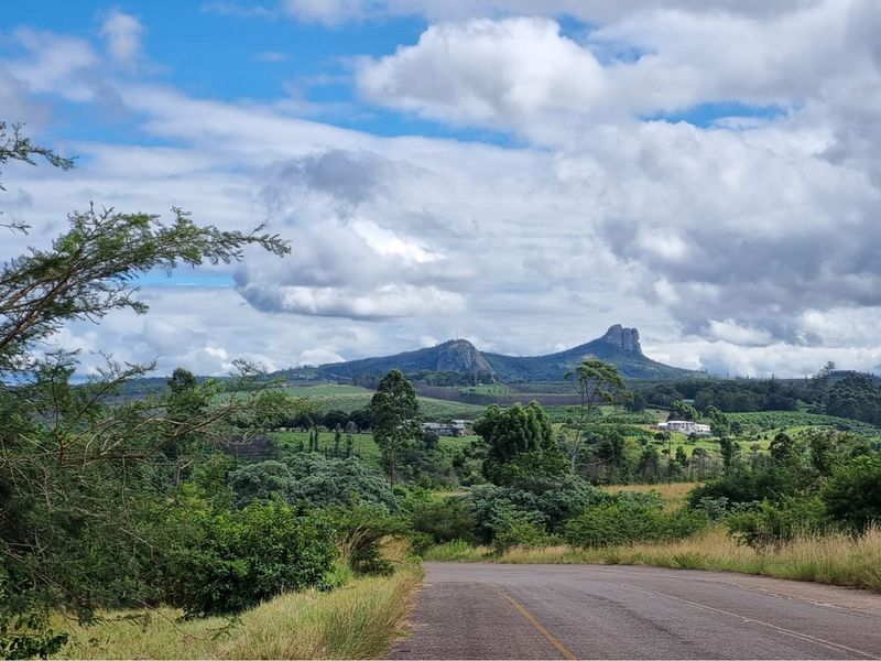 64-Hectare Agricultural Investment with Cell Tower Income Near Kruger National Park - Photo 9