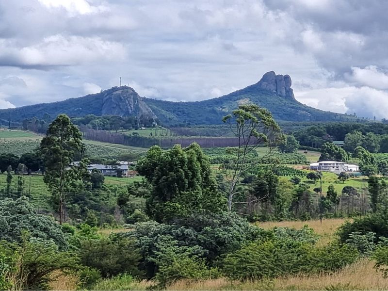 64-Hectare Agricultural Investment with Cell Tower Income Near Kruger National Park - Photo 5