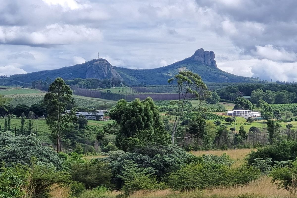 64-Hectare Agricultural Investment with Cell Tower Income Near Kruger National Park - Photo 5