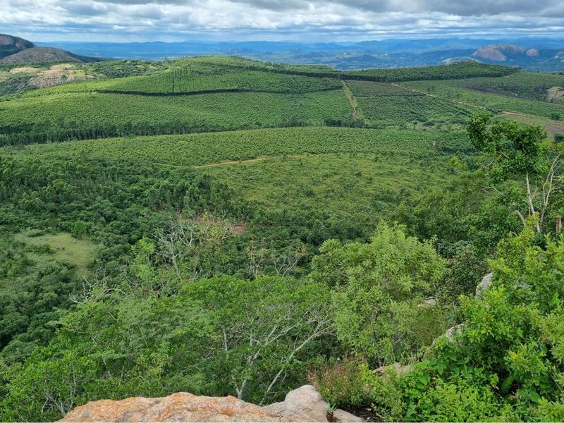 64-Hectare Agricultural Investment with Cell Tower Income Near Kruger National Park - Photo 8
