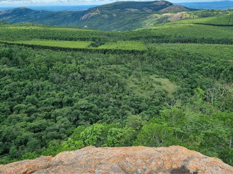 64-Hectare Agricultural Investment with Cell Tower Income Near Kruger National Park - Photo 7