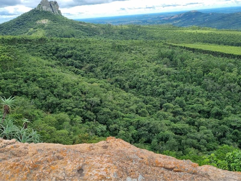 64-Hectare Agricultural Investment with Cell Tower Income Near Kruger National Park - Photo 6