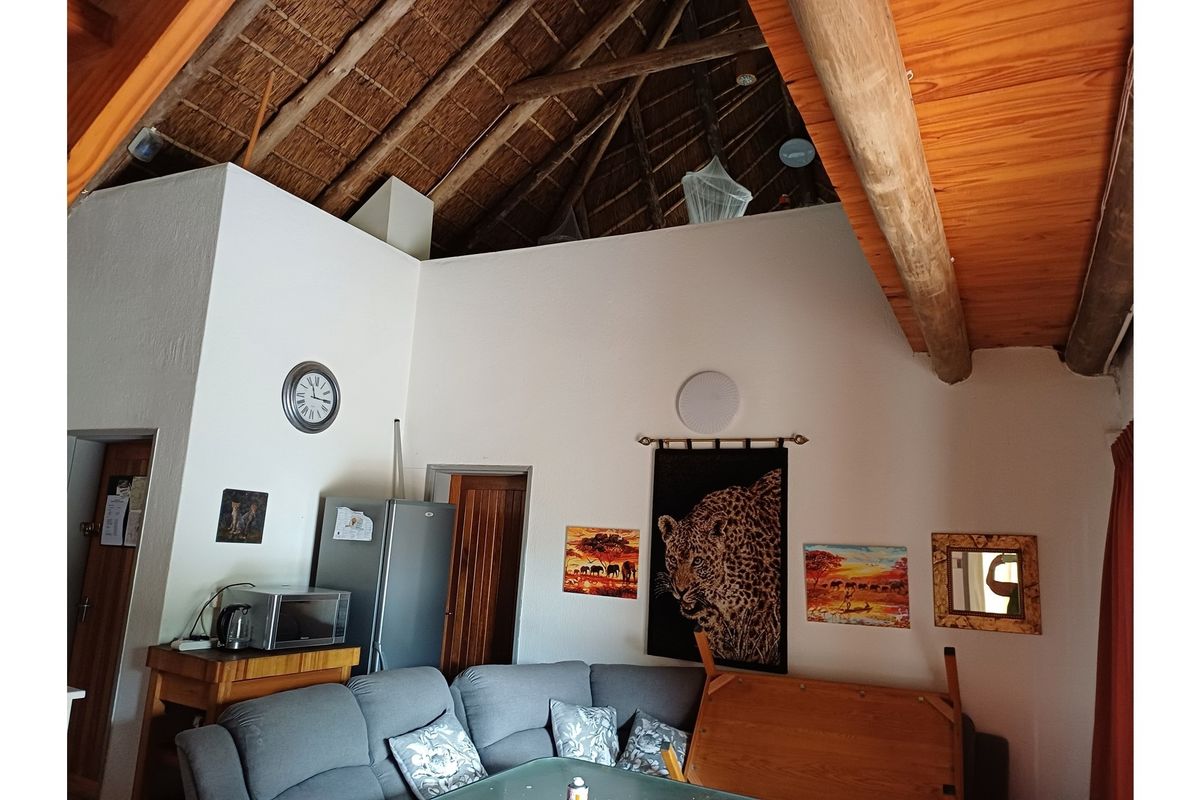 Living area featuring a high vaulted thatch ceiling with exposed timber beams and white walls.