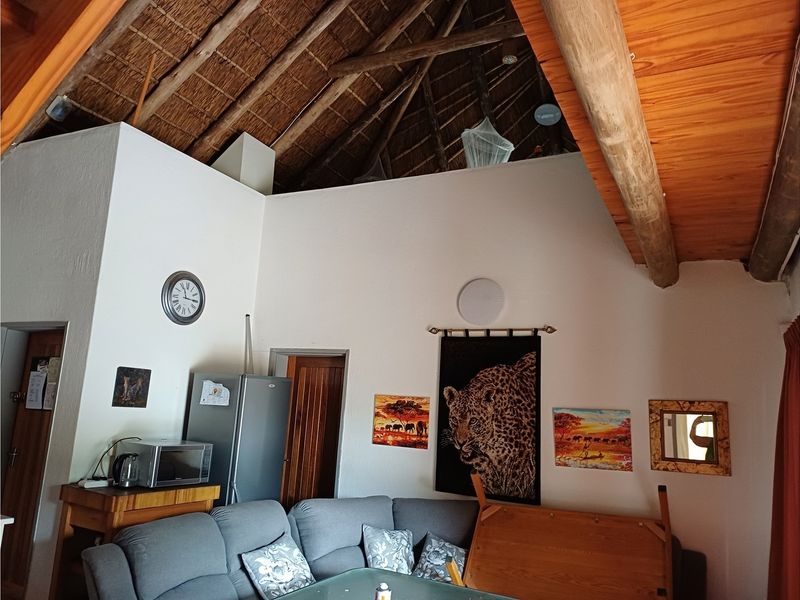 Living area featuring a high vaulted thatch ceiling with exposed timber beams and white walls.