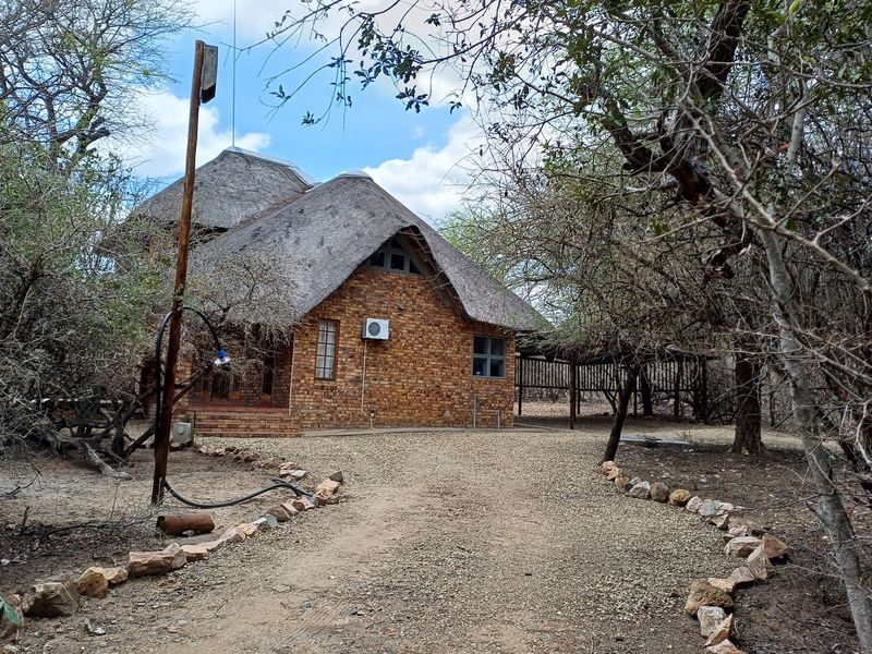 A charming face brick house featuring a traditional thatched roof, situated in a natural bushveld setting with a gravel driveway and established trees.