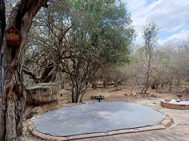 Outdoor swimming pool area featuring a fitted pool cover, set within a natural, wooded landscape with stone masonry elements.
